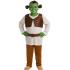 Fantasia de Ogro Verde do Shrek para Crianças