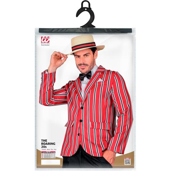 Fantasia de Sr. Adulto dos anos 1920