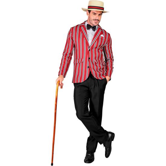 Fantasia de Sr. Adulto dos anos 1920