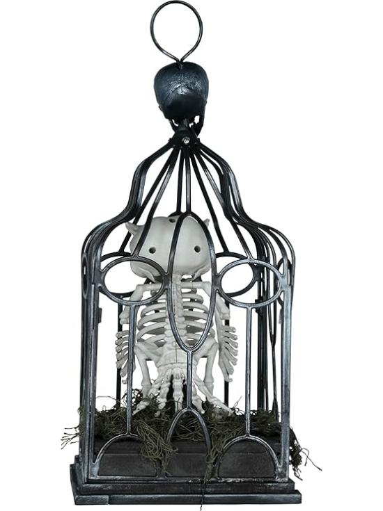 Esqueleto de coruja em gaiola com luz, som e movimento (33 cm)