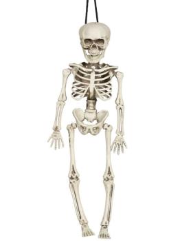 Esqueleto de 40 cm.