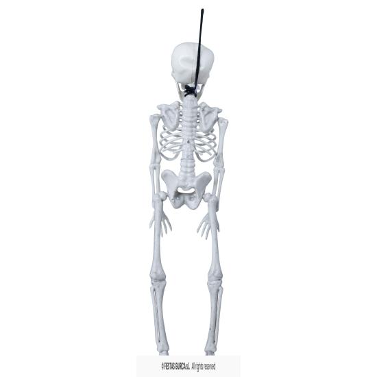 Esqueleto de 40 cm.