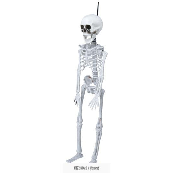 Esqueleto de 40 cm.