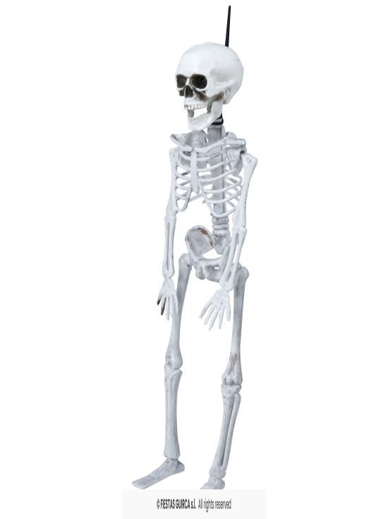 Esqueleto de 40 cm.