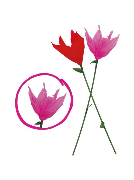 Lanterna Tulipa com Vela 50cm para Dança das Lanternas – Festas e Festivais
