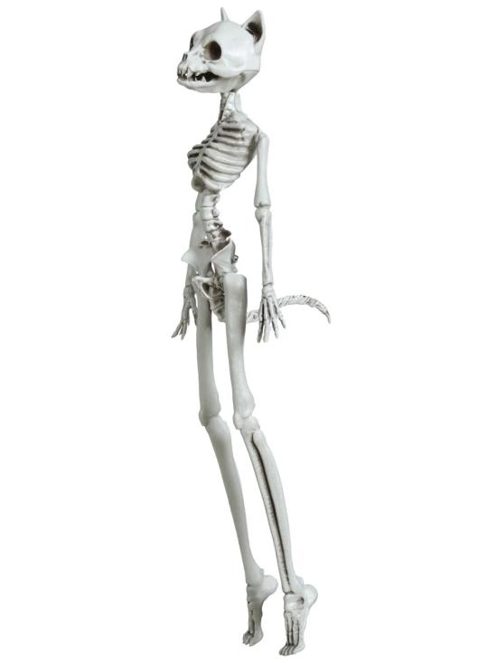 Gato esqueleto de Halloween 37 cm