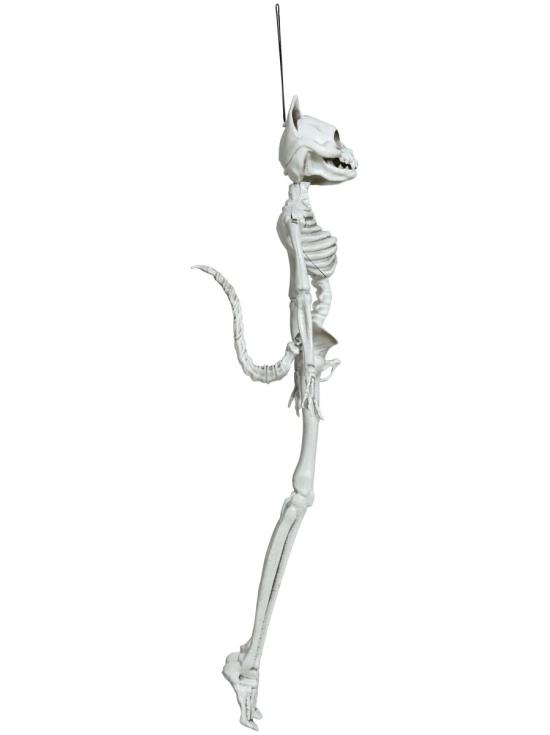 Gato esqueleto de Halloween 37 cm