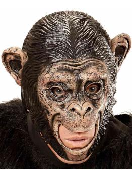 Máscara de chimpanzé para adulto