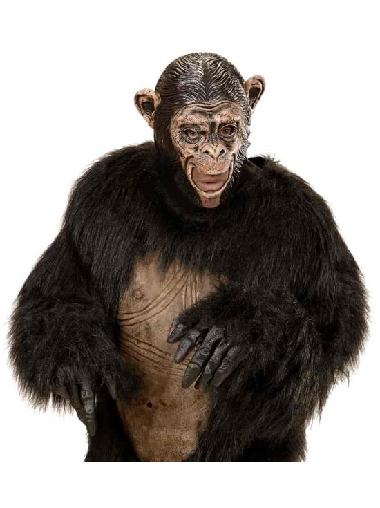 Máscara de chimpanzé para adulto
