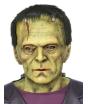 Máscara de látex de Universal Monsters Frankenstein