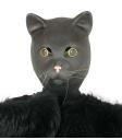 Máscara de látex para gato
