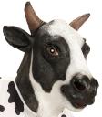Máscara de vaca de fazenda adulta