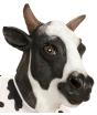 Máscara de vaca de fazenda adulta