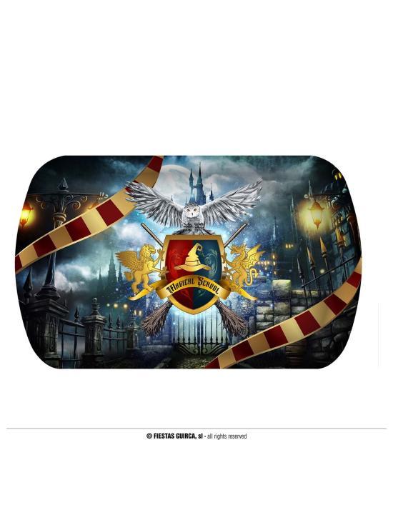 Pacote Festa Harry Potter