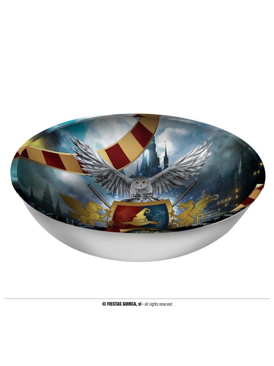 Pacote Festa Harry Potter