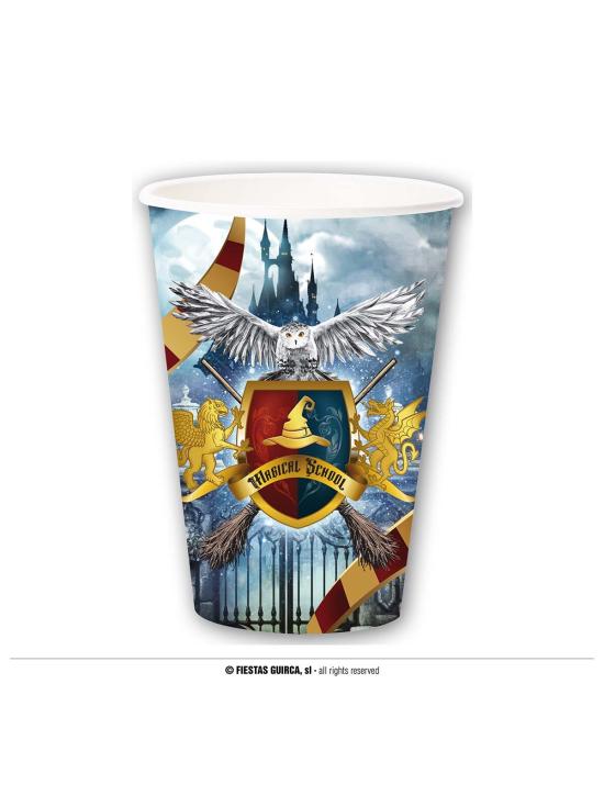 Pacote Festa Harry Potter