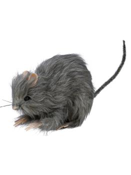 Ratinho peludo pequeno de 15 cms.