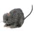 Ratinho peludo pequeno de 15 cms.