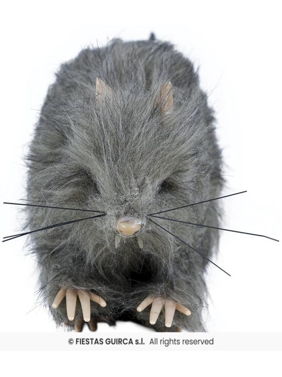 Ratinho peludo pequeno de 15 cms.