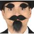 Cavanhaque, bigode e sobrancelhas adesivas*