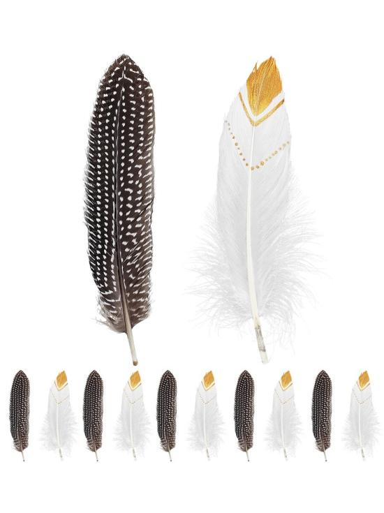 Conjunto 12 penas indianas *