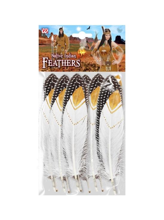 Conjunto 12 penas indianas *
