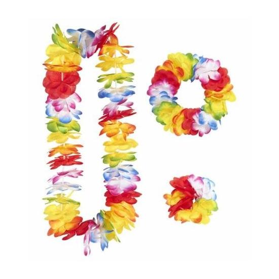 Conjunto havaiano multicolorido de luxo.