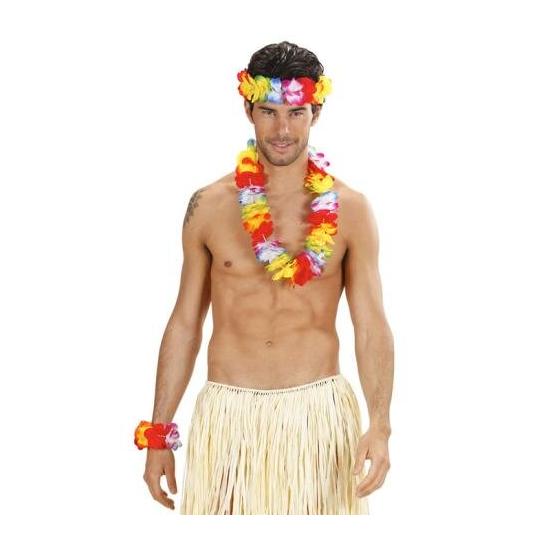 Conjunto havaiano multicolorido de luxo.
