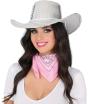 Chapéu de Cowboy Disco Prateado 80
