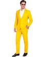 Terno, jaqueta e calças coloridas masculinas, showman, febre disco, festa temática de cassino