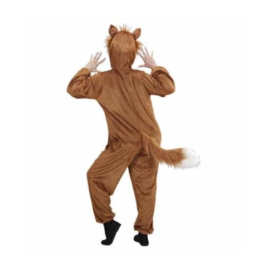 Fantasia Zorro adulto unissex